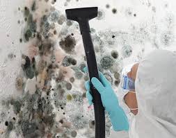 Best Mold Documentation for Insurance Claims  in New Hempstead, NY